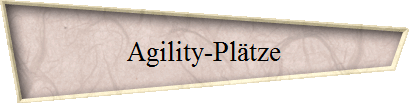 Agility-Pltze