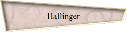 Haflinger