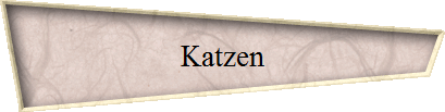 Katzen