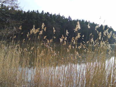 DSC00107